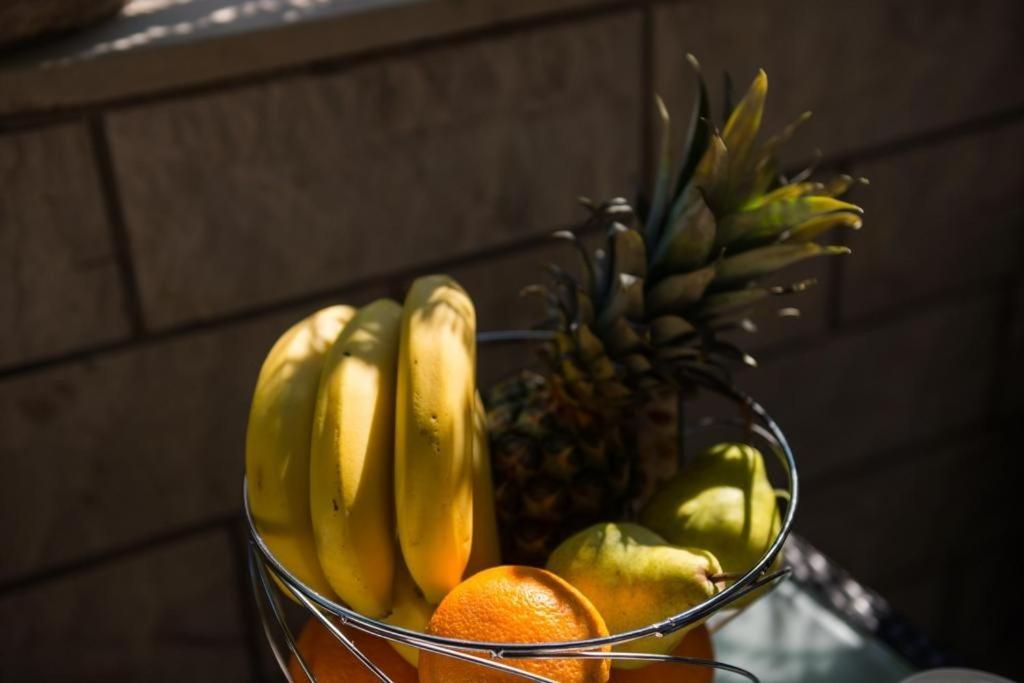 Wild Orange Appartement *